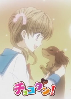 Chocotan!