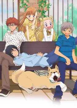 Honey and Clover II