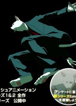 Catman Series III