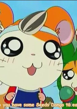 Tottoko Hamtarou Hai!