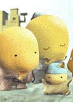 Pacusi
