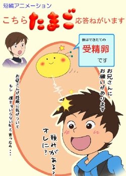 Kochira Tamago Outou Negaimasu