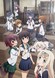 Kantai Collection: KanColle