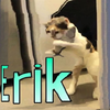 Erik