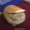 Gruby