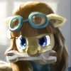 Filly