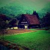 Minttea