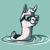 Lama_crash
