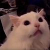 Nunutte