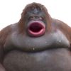 XZerenx