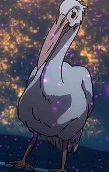 Pelico
