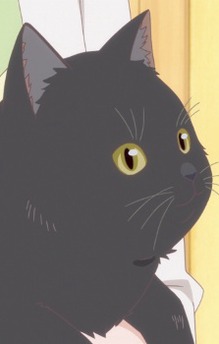 Daru