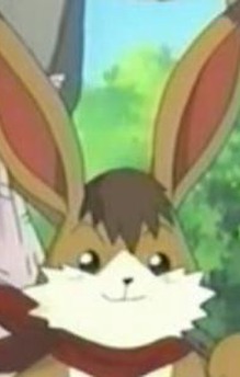 Ham