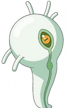 O