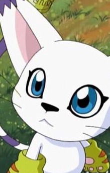 Tailmon