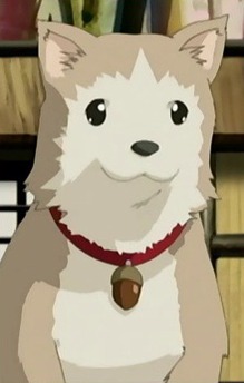 Saji
