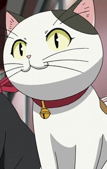 Tama