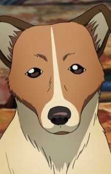 Wanko