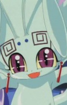 Repuri
