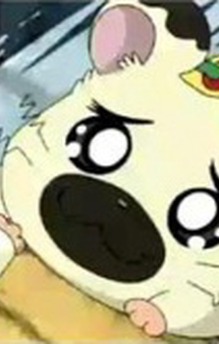 Taishoo-kun