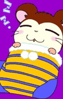 Neteru-kun
