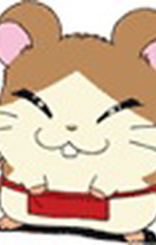 Maido-kun