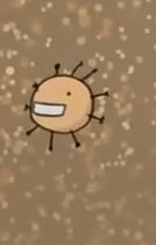 Influenza virus