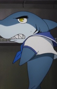 Jaw