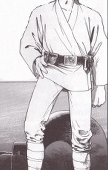 Luke Skywalker