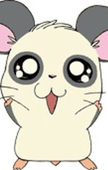 Panda-kun
