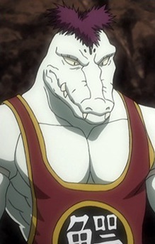 Alligator
