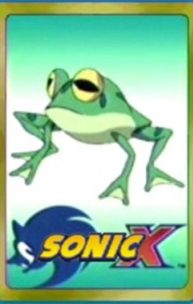 Froggy