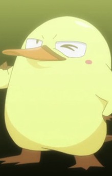 Kamo