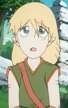 Roka
