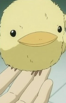 Hibird