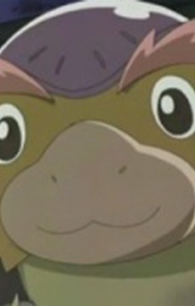 Bongo