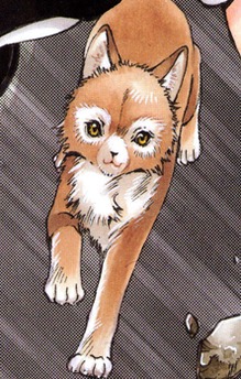 Inuki