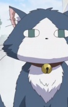 Buchi