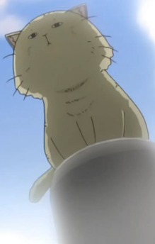 Kuma