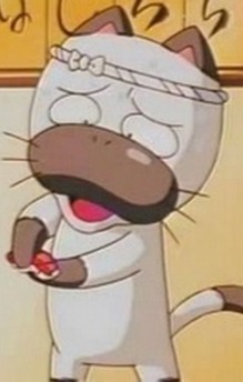 Sushi Neko