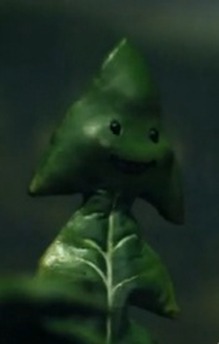 Dandelion Sprout