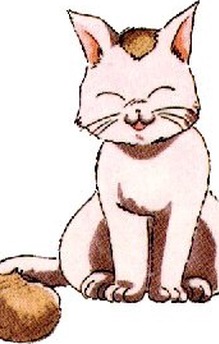Tama
