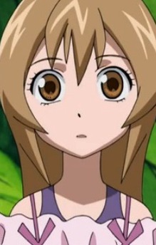 Sena