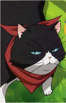 Nyamsus
