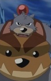 Bear Bomber