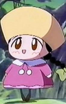 Renkopocchi