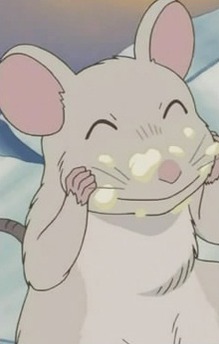 Chicchi