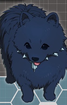 Ren