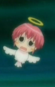 Fuku