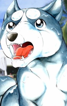 Gin